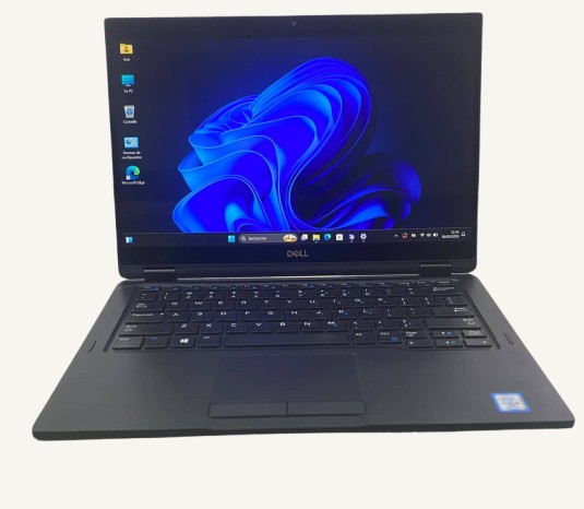 DELL LATITUDE — vue 2